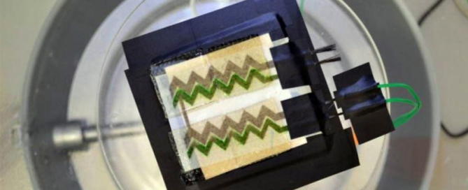 biologisch afbreekbare zonnecellen op behang